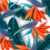 Exotica